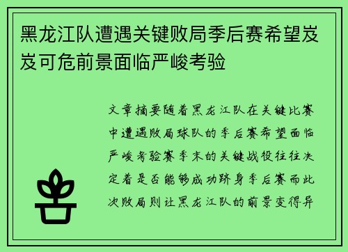 黑龙江队遭遇关键败局季后赛希望岌岌可危前景面临严峻考验